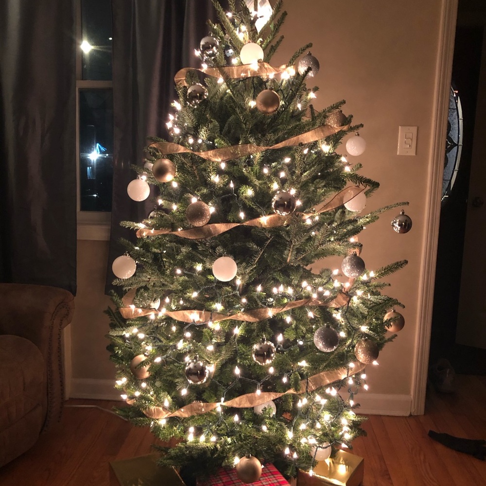 Meet your Posher, Leo